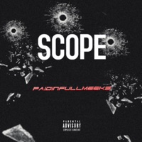SCOPE - Single - Paidinfullmeeks