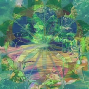 Chakra Meditation