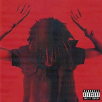 Disturbing The Peace - Pasto Flocco