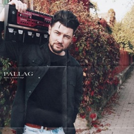 Падає листя з дерев PALLAG