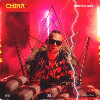 China - Single - Domnul Udo