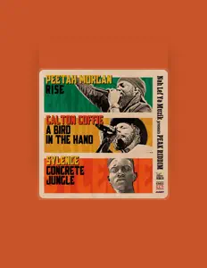 聆聽 Sylence、觀看音樂影片、閱讀小傳、查看巡演日期等！