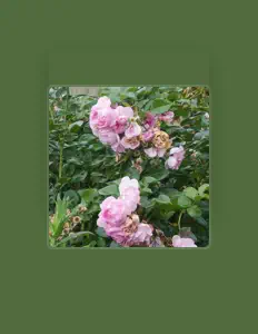 Luister naar D3m0nPro, bekijk muziekvideo's, lees de bio, bekijk de tourdata, en meer!