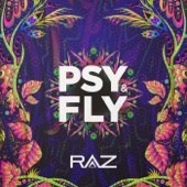 Psy & Fly artwork