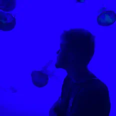 聆聽 Kreed、觀看音樂影片、閱讀小傳、查看巡演日期等！