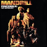 Mandrill - Road to Love