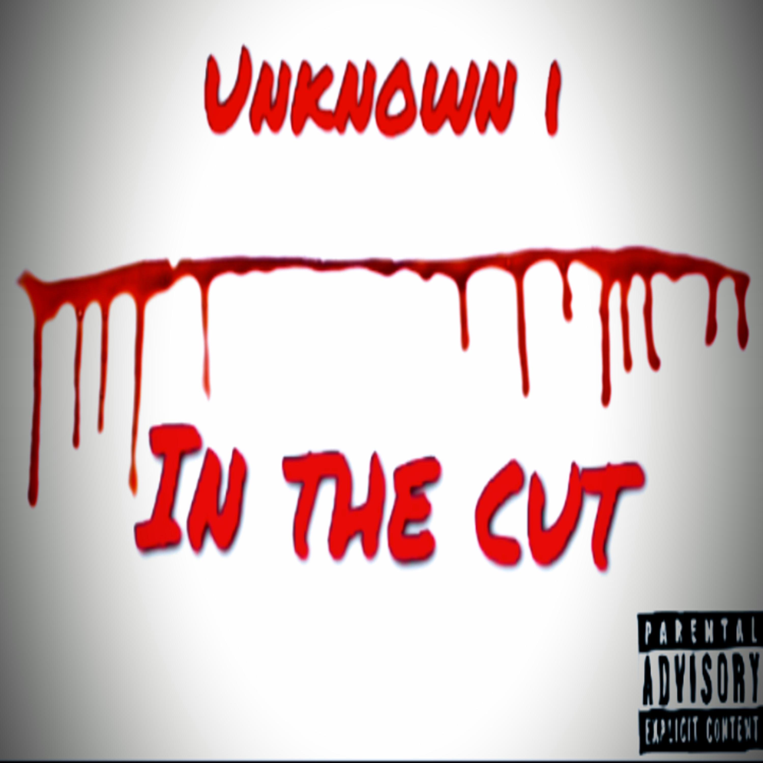In the Cut - Single