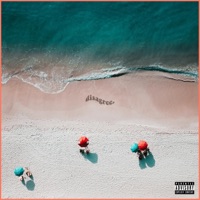 disagree (feat. Davesocozy) - Single - Lotus Flwr