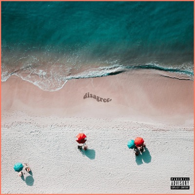 disagree (feat. Davesocozy) - Single