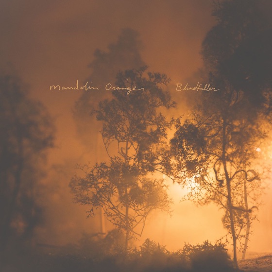 Cover artwork for Wildfire