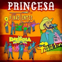 Princesa - Single - Los Pikadientes de Caborca, Fidel Rueda & La Energía Norteña