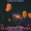 Ya Sabe Mi Locura - Single