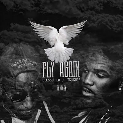Fly Again (feat. Tsu Surf) - Single