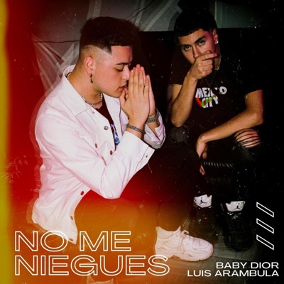 No Me Niegues (feat. Baby Dior) - Single