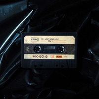 Lost Songs (2020, Teil 2) - EP - SX