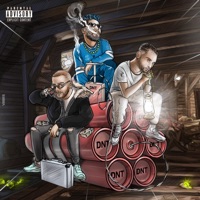 DNT (feat. ElGrandeToto & Draganov) - Single - Nouvo