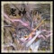 kijin (feat. Miku Hatsune)[Japanese Version] - isiya(222) lyrics