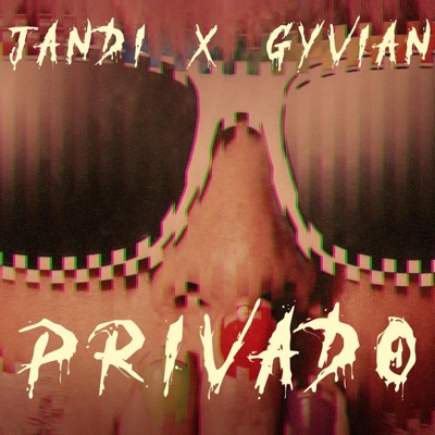 Privado (feat. Jandi) - Single
