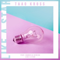 Like a Star (feat. Gabriela Geneva) - Single - Taao Kross