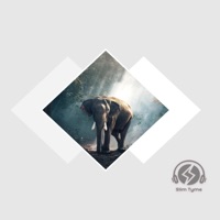 Summer - Single - Slim Tyme