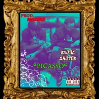 Picasso - Single - Exotic Skottie