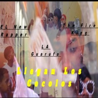 Llegaron Los Cocolos (feat. El Cigarro RD & EL New Rapper) - Single - La guarufa