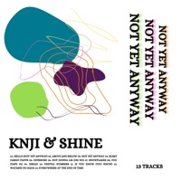 Album cover for Everywhere At the End of Time by knji & shine
