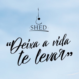 Deixa a Vida Te Levar - Single