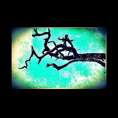 Panic Trials - Single