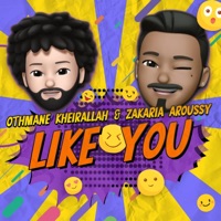 Like You (feat. Otmane Kheirallah) - Single - Zakaria Aroussy