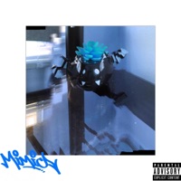 Temperedglass - Single - Mimic