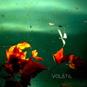 Volátil (feat. Hernán Peyrou, Martín Ibarburu, Rolo Fernández, Hernán Jacinto, Fernando Silva, Sara Sabah & Cecilia De Los Santos) artwork