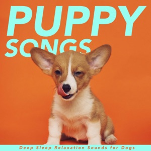 Puppy Songs - Deep Sleep Relaxation Sounds for Dogs