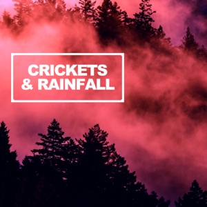 Crickets & Rainfall - EP