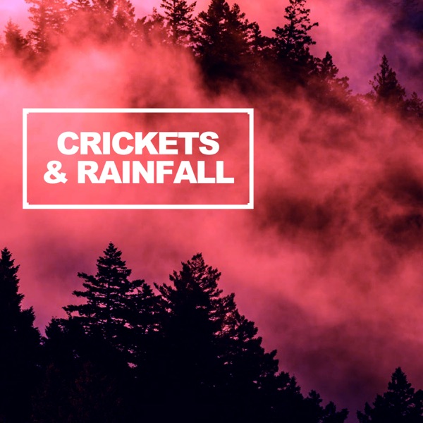 Crickets & Rainfall - EP