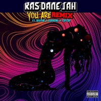 You Are (feat. Devyne J Supreme & TipTop) [Remix] - Single - Ras Dane Jah
