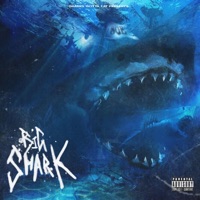 Big Shark - Yung Marley
