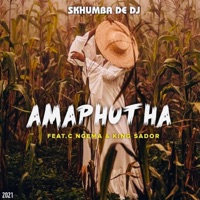 Amaphutha (feat. C Ngema & King Sador) - Single - Skhumba de dj