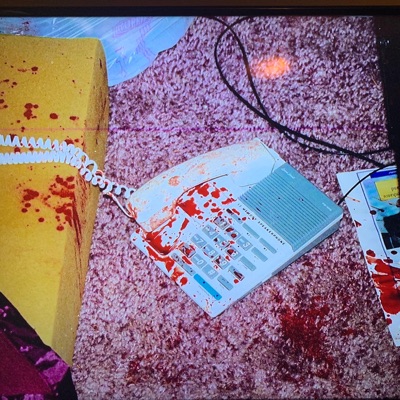 Am I Here? (feat. Nickisgonenow) - Single