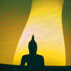 Angelic Chorus to Remove Negative Energies - Single