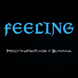 Feeling (Remix) Peezythaproducer