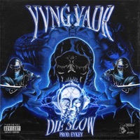 Die Slow - Single - Yvng Vadr