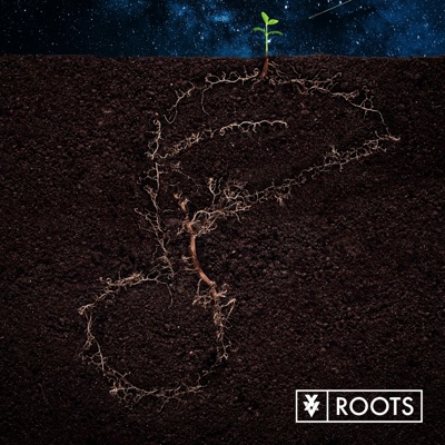Roots - Single