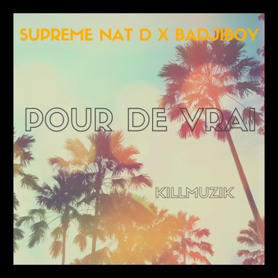 Pour de vrai - Single