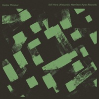 Still Here (Alexandra Hamilton-Ayres Rework) - Single - Hector Plimmer