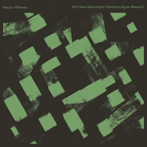 Still Here (Alexandra Hamilton-Ayres Rework) - Single