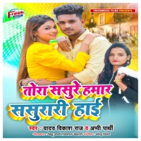 Tora Sasure Hamar Sasurari Hai - Single - Yadav Vikash Raj & Appi Parthi