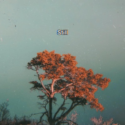 Still - Single