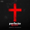 Perfecto Amor (feat. Job González) - Single