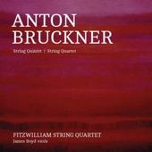 Bruckner: String Quintet - String Quartet artwork